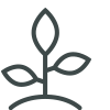 Icon of a plant seedling