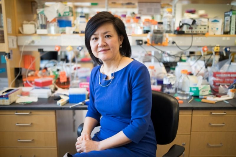 Dr. Li-Huei Tsai in her lab