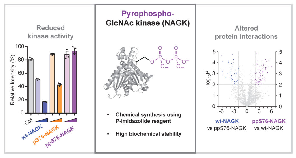 A research image with a bar graph, a molecular drawing, and a scatter plot.